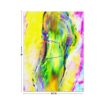 Explosion by John Gerstner | Canvas Wall Print 24 x 31